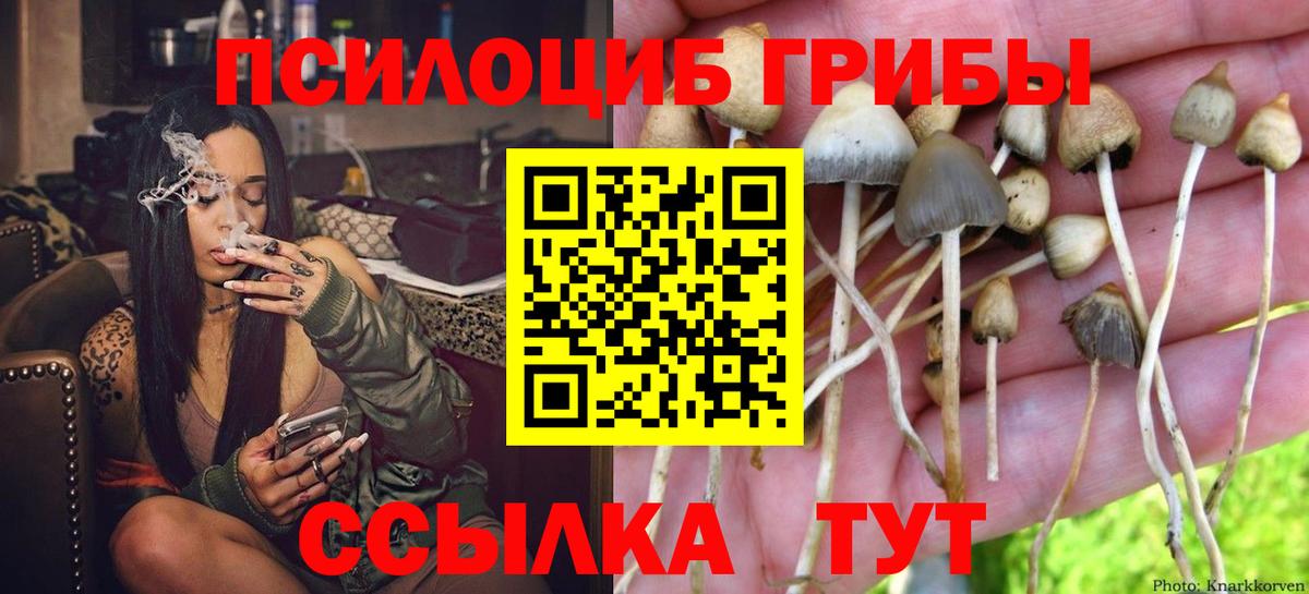 Псилоцибиновые грибы GOLDEN TEACHER Анапа